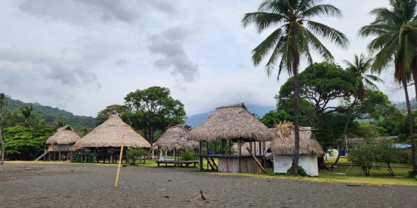 WhatsApp Image 2025-03-31 at 17.53.49