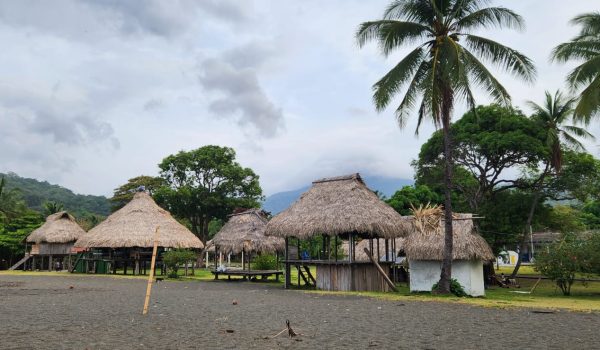 WhatsApp Image 2025-03-31 at 17.53.49