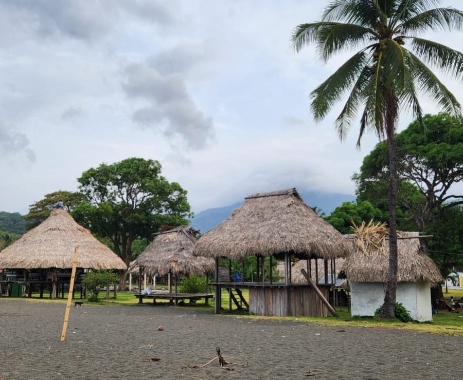 WhatsApp Image 2025-03-31 at 17.53.49